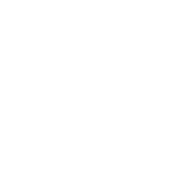 Spotify-Icon